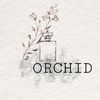 ديجي حفرالباطن أوركيد Orchid🤍