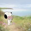 ڕۆڤیی / 𐙚⋆.˚ 𝘳𝘰𝘷𝘪𝘪𝘪