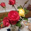 user3262011773208