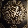 hossam54319