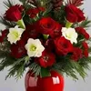 abd_lhamid0