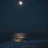 balsam_78