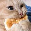 quesitoderretidoo