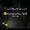 sheraz_hassan_shah