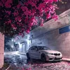 g_xoshnaw4