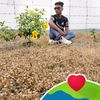 litonshak536