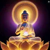 mr.quangvu686868