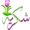 user815836176
