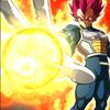 princevegeta113