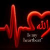 user7006519098786