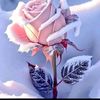 mounana_nasser