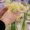theshiningsun01