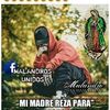 menor593ff