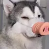 wocnkascnadajfsodsovcsda