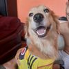 ney_263