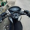 falll_298
