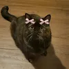 ronja_xx8