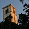 ancicka9