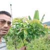 koyom69