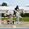 ellenoneill19
