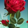 luna_3spk