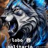 user6276160313677