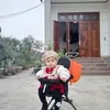 inh.triu991