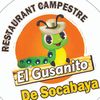 elgusanitodesocabaya