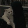 sadaga_515