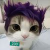 littlecheese6