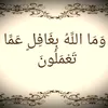 aminaelwazani0