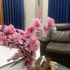 di.asri