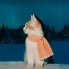 _nnmp_