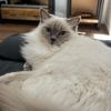 hrhprincesslilly