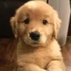 kawaiihihi1