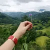 thutrang9108