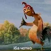 _soshardi_