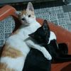 momy.marvin