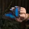 ℋℰℬ𝒜🦋