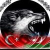 sebuhimustafayev9