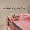 itsmohsinsandila1