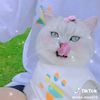 areeshaahmed70