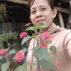 m.n.thn4115