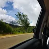 ninyeah8