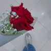 useru51ttbk3wz