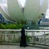 sifa_0330