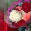 user_name104156