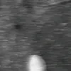 coal_her2007