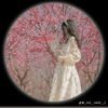 iramshafiq54