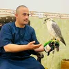 user9460033287131